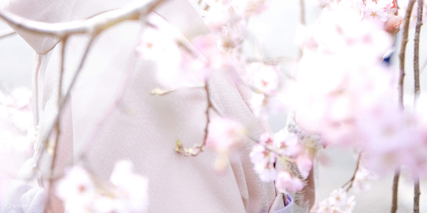 Tokyo: Wedding Photo Tour dengan 3 Lokasi & Pro Styling